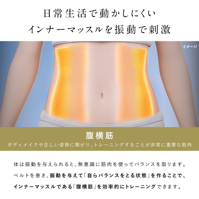NIPLUX 3Dコアフローベルト EMSダイエットベルト ジェル不要 腹筋