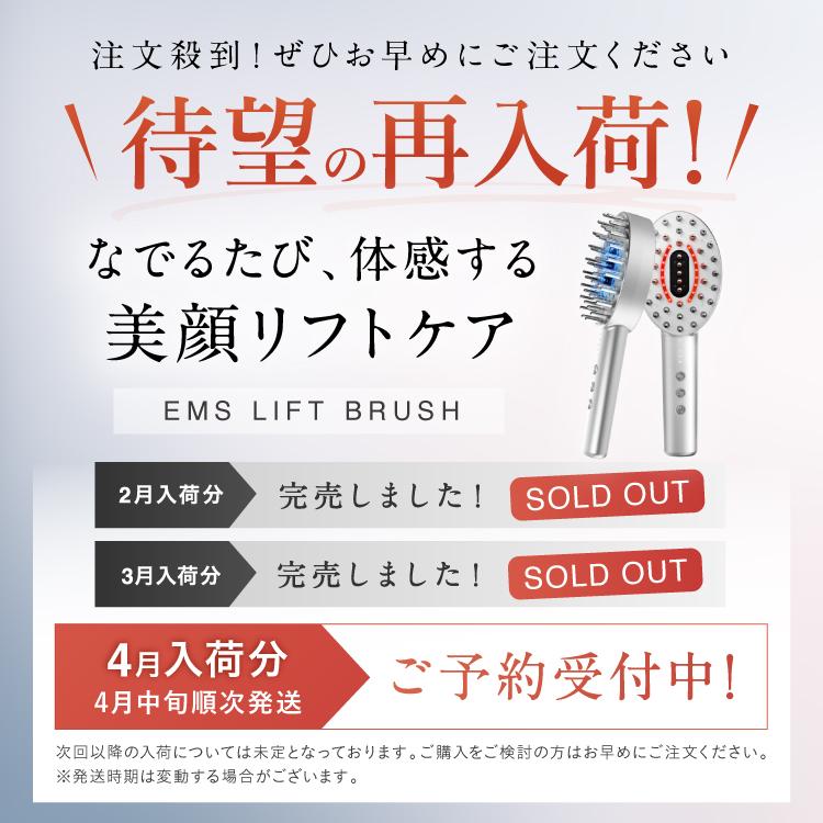 NIPLUX 電気ブラシ EMS美顔器 NIPLUX EMS LIFT BRUSH emsリフトブラシ 
