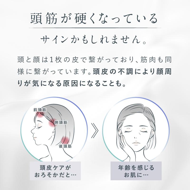 NIPLUX 美顔の秘訣は頭筋から 電気ブラシ 美顔器 EMS LIFT BRUSH NIPLUX 美顔の秘訣は頭筋から 電気ブラシ 美顔器 EMS LIFT BRUSH