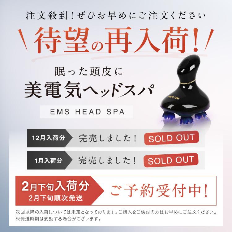 NIPLUX EMSヘッドスパ 頭皮マッサージ器 NIPLUX EMS HEAD SPA ヘッド