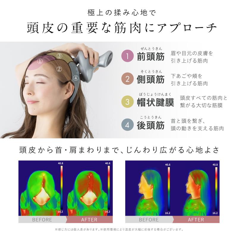 ヘッドスパ 頭皮マッサージ器 NIPLUX HEAD SPA ヘッドマッサージ機 頭皮マッサージャー 頭皮ケア マッサージ器 美容家電 振動 プレゼント ホワイトデー ギフト | NIPLUX | 10