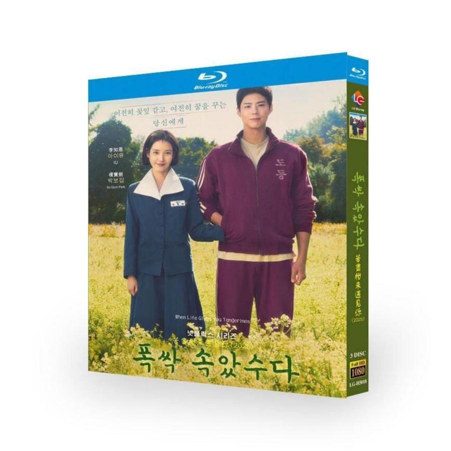 韓国ドラマ おつかれさま DVD ブルーレイ Blu-ray BOX パク・ボゴム
