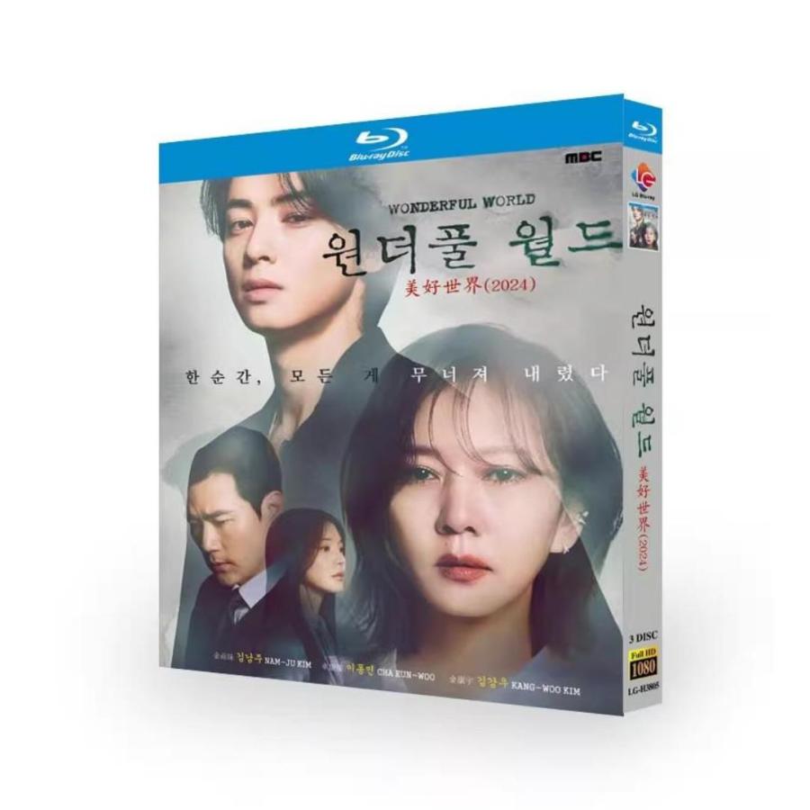 韓国ドラマ「ワンダフルワールド」国内再生可能 日本語字幕 DVD Blu