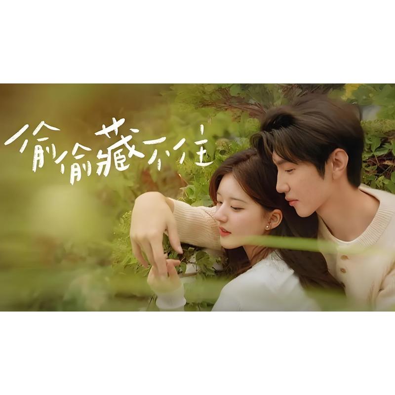 日本語字幕 中国ドラマ 「ひそかな恋模様は、曇りのち晴れ」Blu-ray