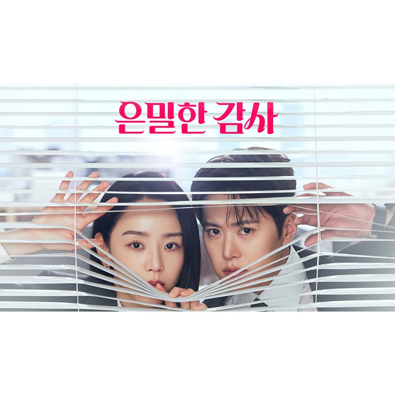 日本語字幕? 韓国ドラマ「秘密の監査 -Filing for Love-」Blu-ray