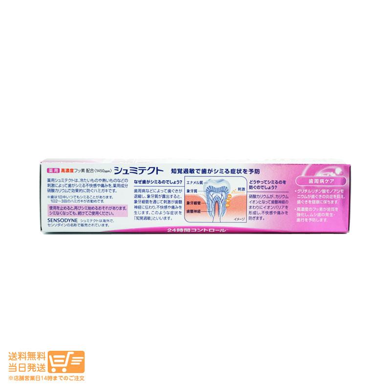 アース製薬シュミテクト 歯周病ケア 90g医薬部外品 薬用ハミガキ : 日