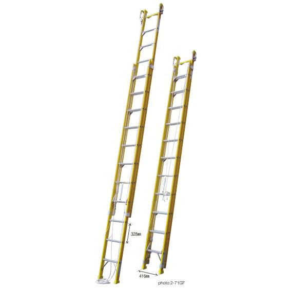 伸縮はしご　ナカオ　2連伸縮梯子　長さ6000mm 2連ハシゴ はしご 伸縮 梯子 伸縮はしご 二連伸縮はしご バンボ 2-81GF ※運賃別途