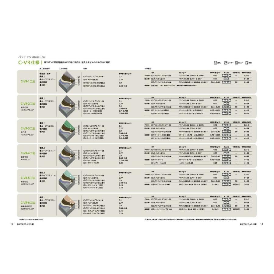 大関化学工業 パラテックスAセット（パラテックス原液＋A混和材  