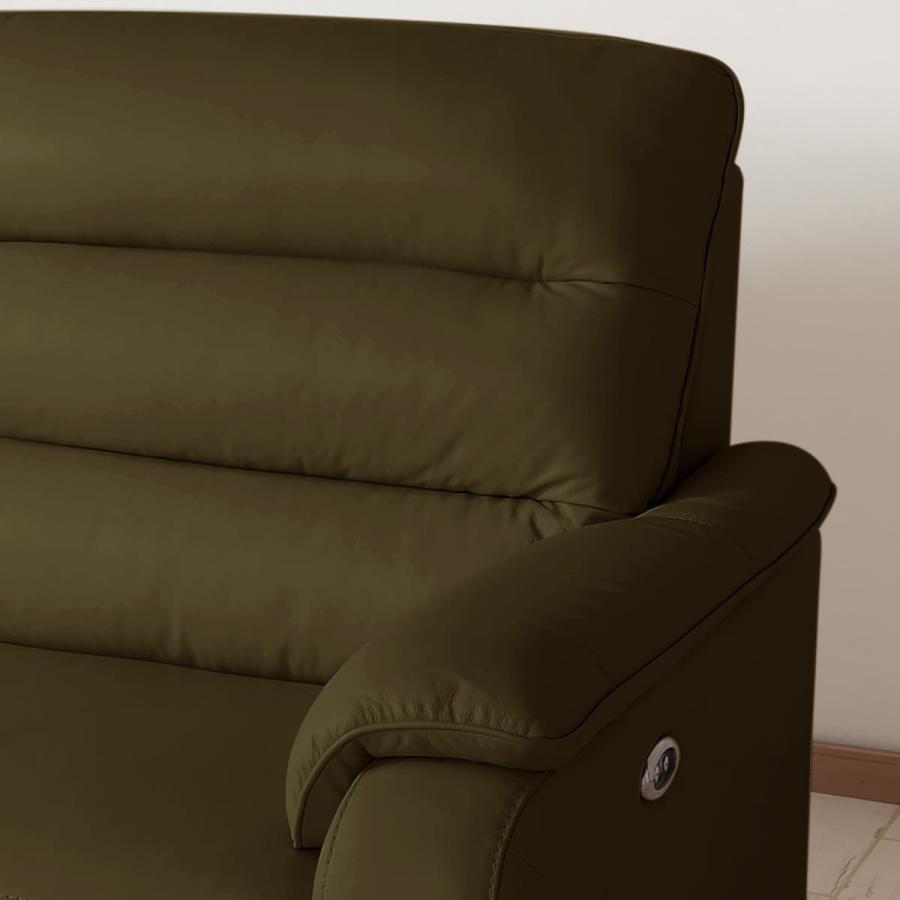 ニトリ（NITORI） ソファー ソファ 2人掛け 左電動リクライニング