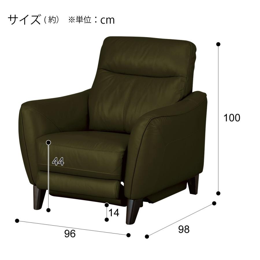 ニトリ 1人掛け ソファー (アネーロセミアニリン革タイプ SK BR) 1139021s01.jpg