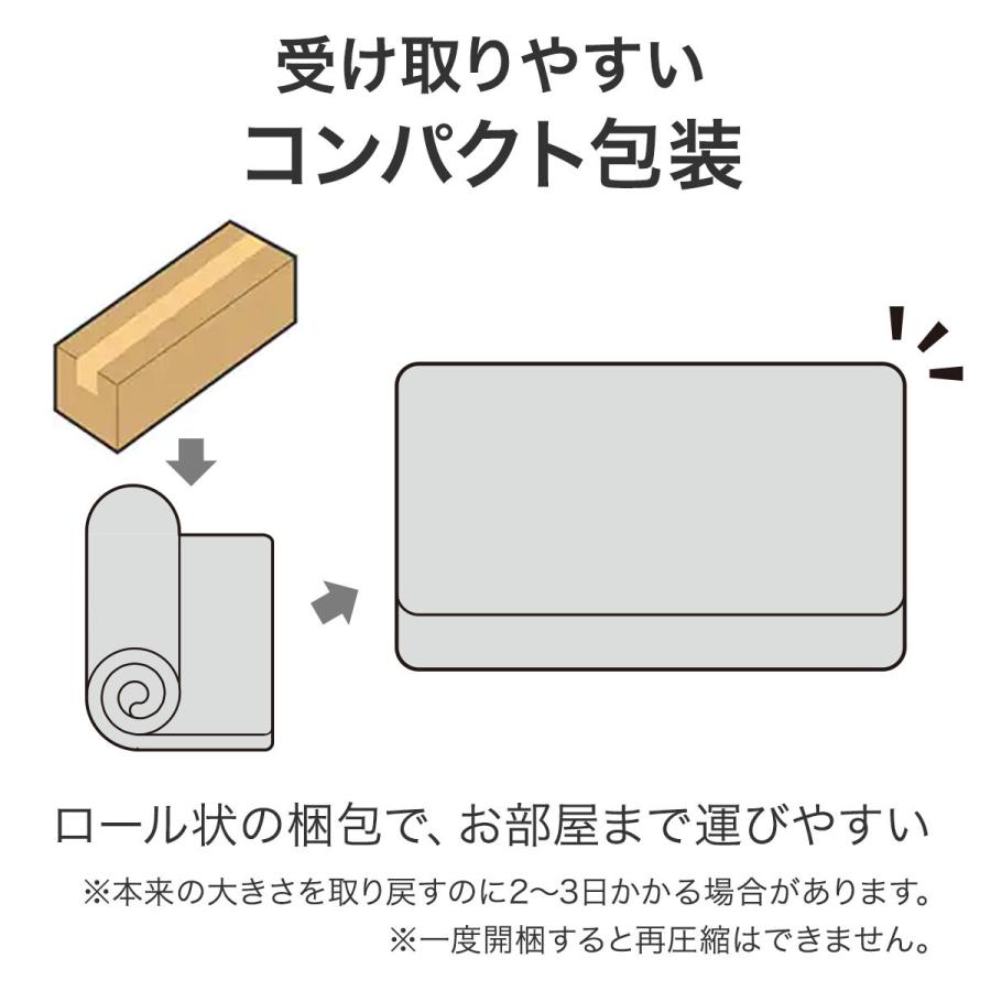 ニトリ（NITORI） シングルマットレス(NスリープハードH1-02CR VB