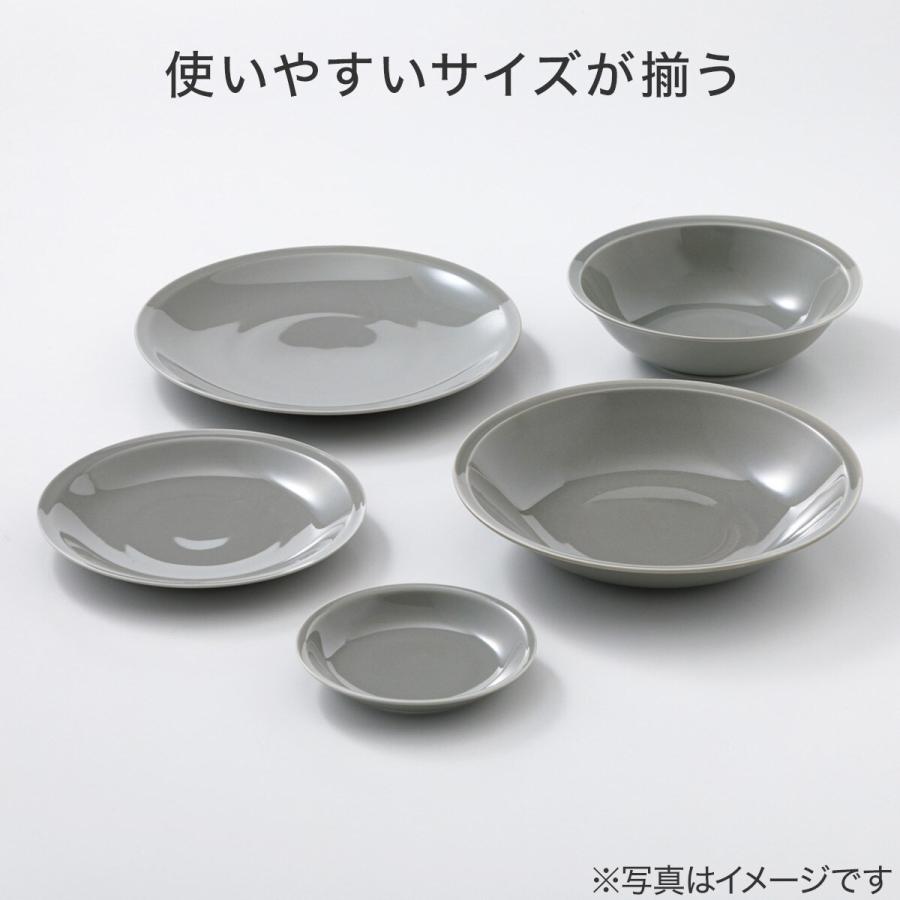 ニトリ（NITORI） さらに超軽量 リムプレート カル：エクレ グレー