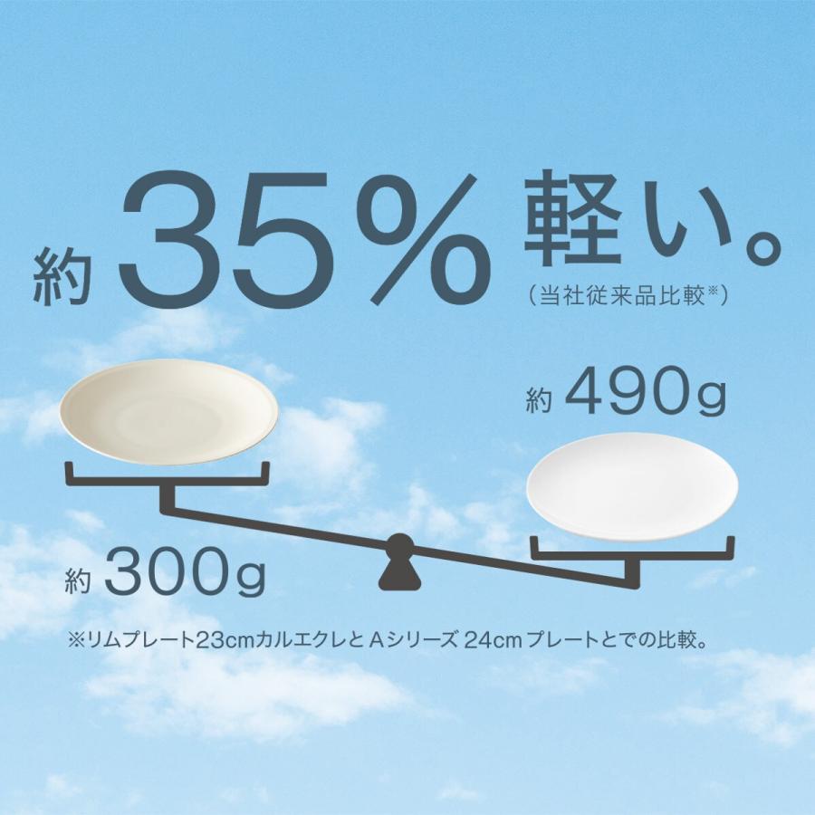 ニトリ（NITORI） さらに超軽量 リムプレート カル：エクレ グレー
