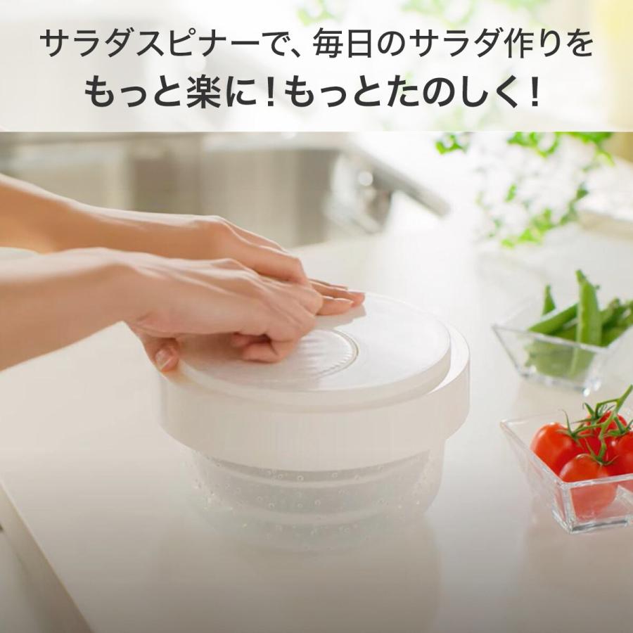 ニトリ（NITORI） 1台10役コンパクトスライサーザルボウル保存容器