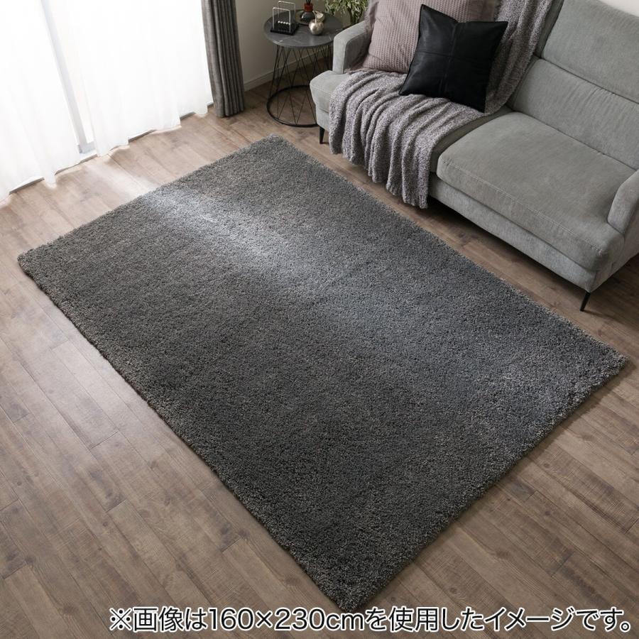 ニトリ（NITORI） ほこりが取れやすいシャギーラグ(200X250 MGY SR008