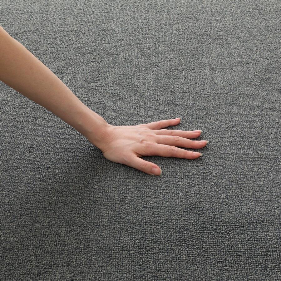 ニトリ（NITORI） 防音・防炎・抗菌防臭・防ダニカーペット(200X240 GY