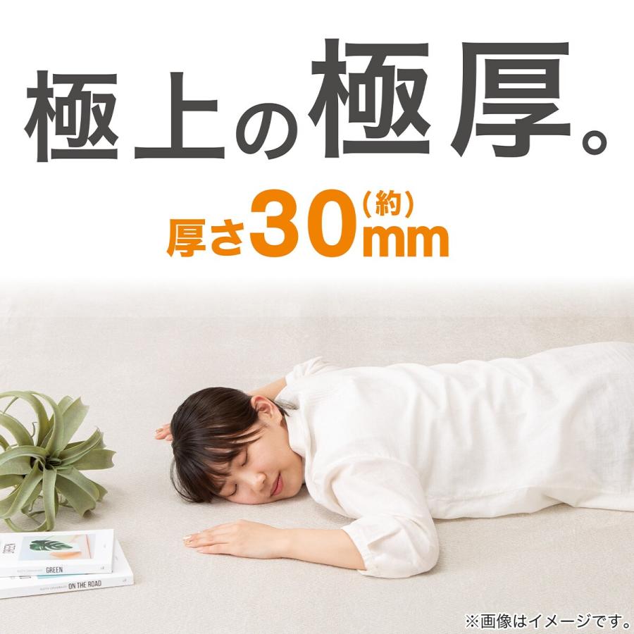 ニトリ（NITORI） 極厚30mmウレタン入り防汚＋防音ラグ(200X240 GY