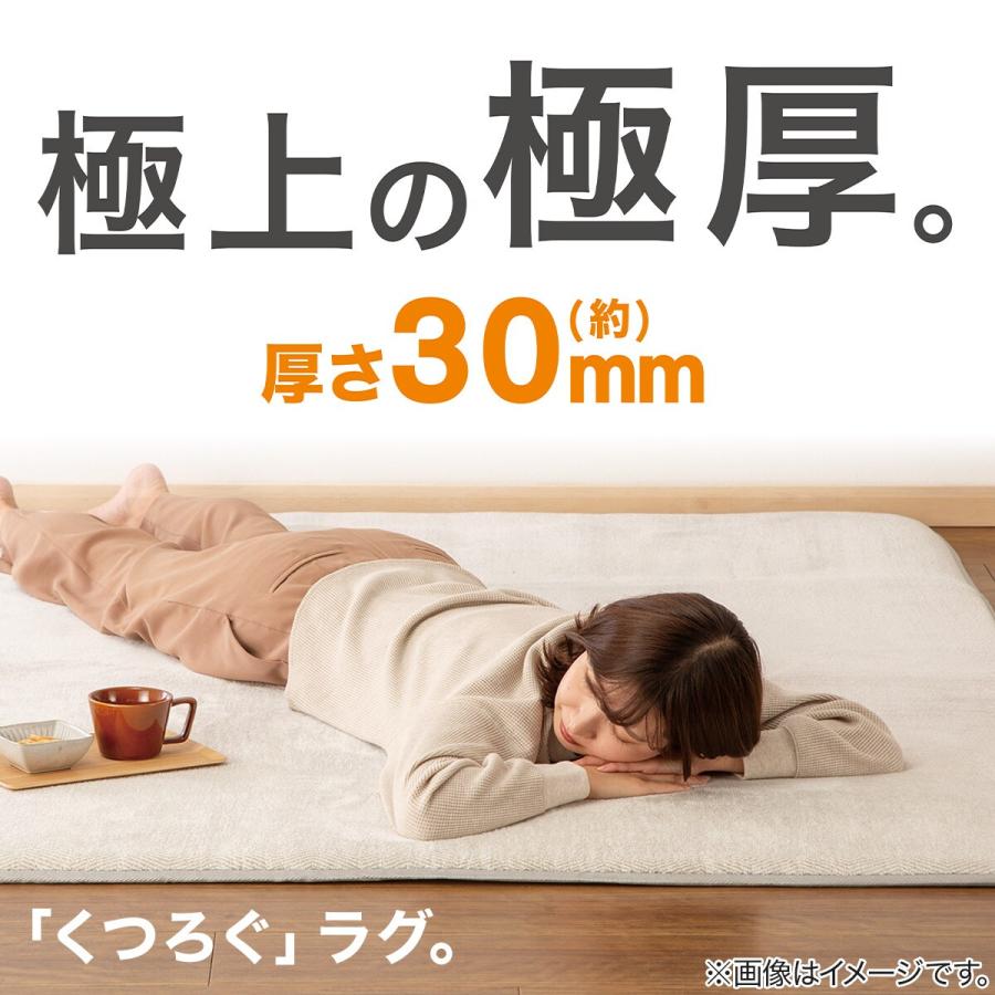 ニトリ（NITORI） 30mmウレタン入り防汚加工+防ダニ加工+防音ラグ