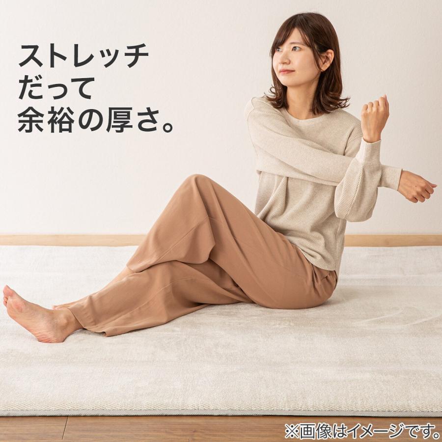 ニトリ（NITORI） 30mmウレタン入り防汚加工+防ダニ加工+防音ラグ