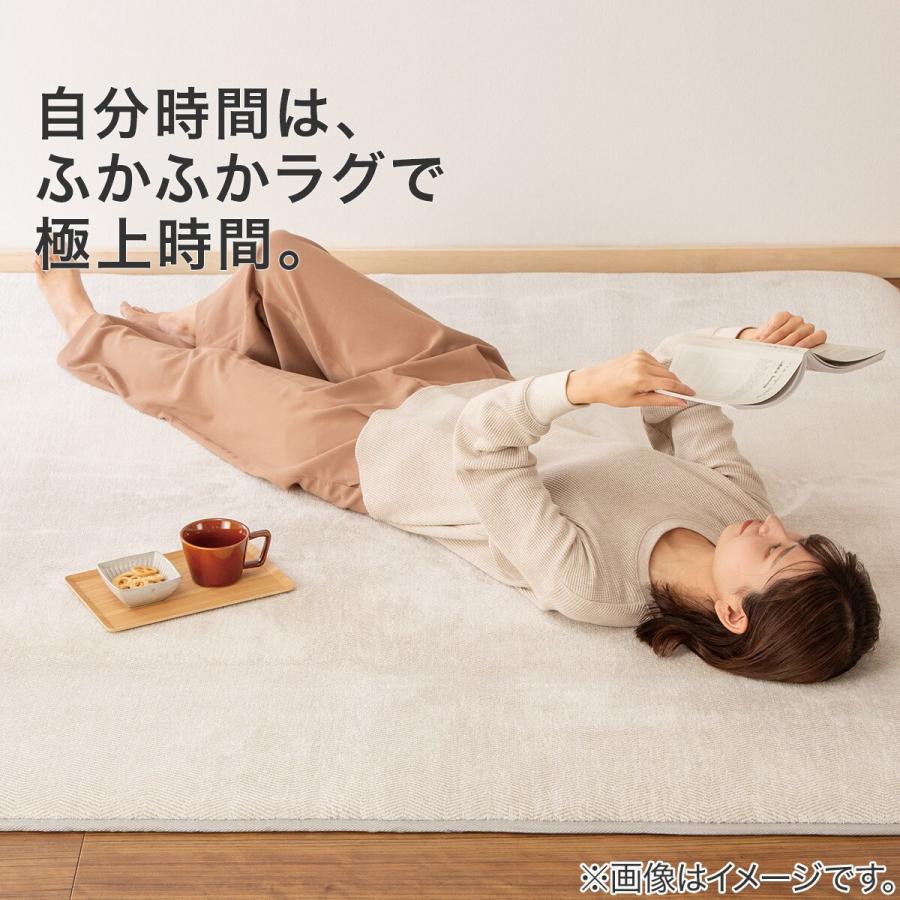 ニトリ（NITORI） 30mmウレタン入り防汚加工+防ダニ加工+防音ラグ