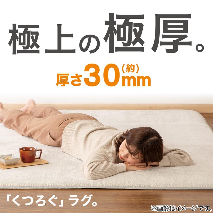 ニトリ（NITORI） 30mmウレタン入り防汚加工+防ダニ加工+防音ラグ