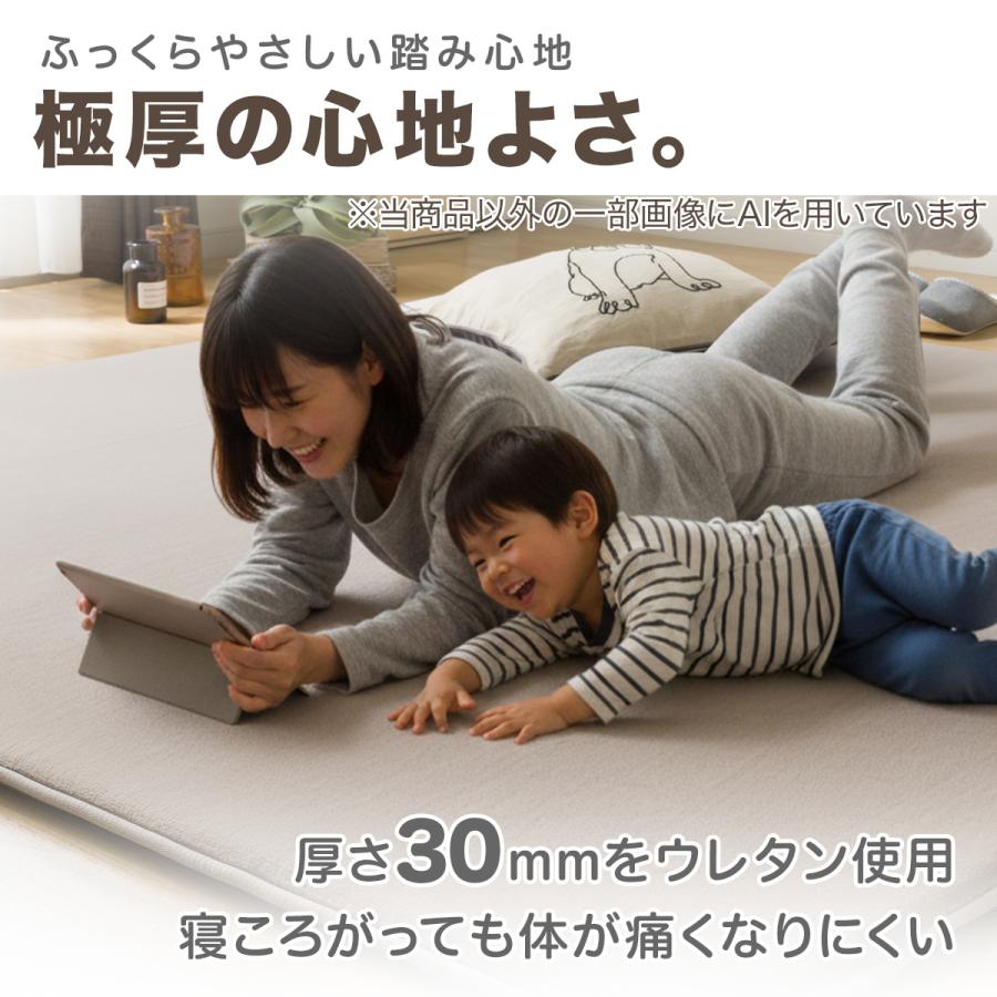 ニトリ（NITORI） 極厚30mmウレタン入り 防汚加工+防ダニ加工+防音ラグ