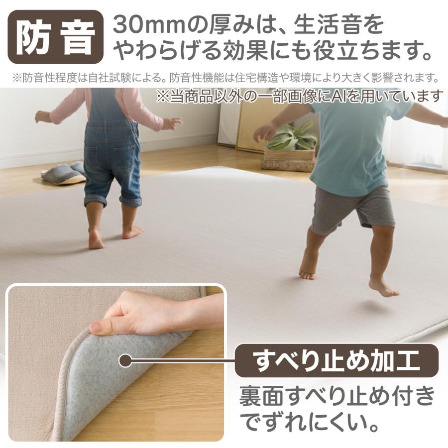 ニトリ（NITORI） 極厚30mmウレタン入り 防汚加工+防ダニ加工+防音ラグ