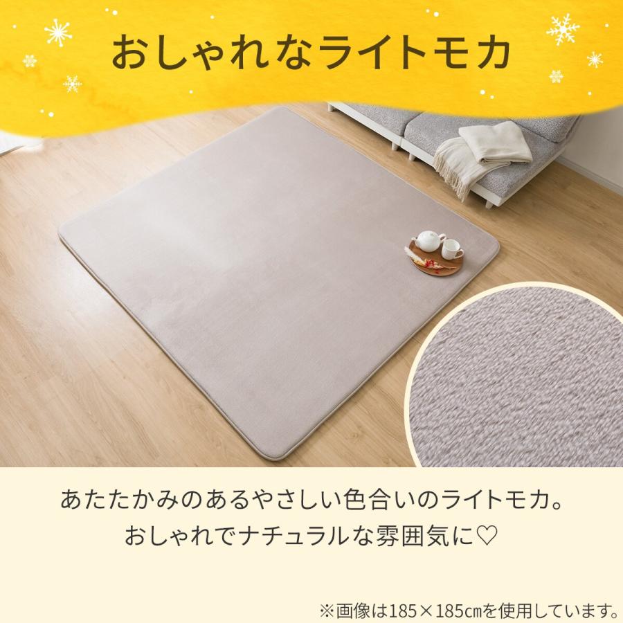 ニトリ（NITORI） 極厚30mmウレタン入り吸湿発熱+蓄熱+保湿+防音ラグ