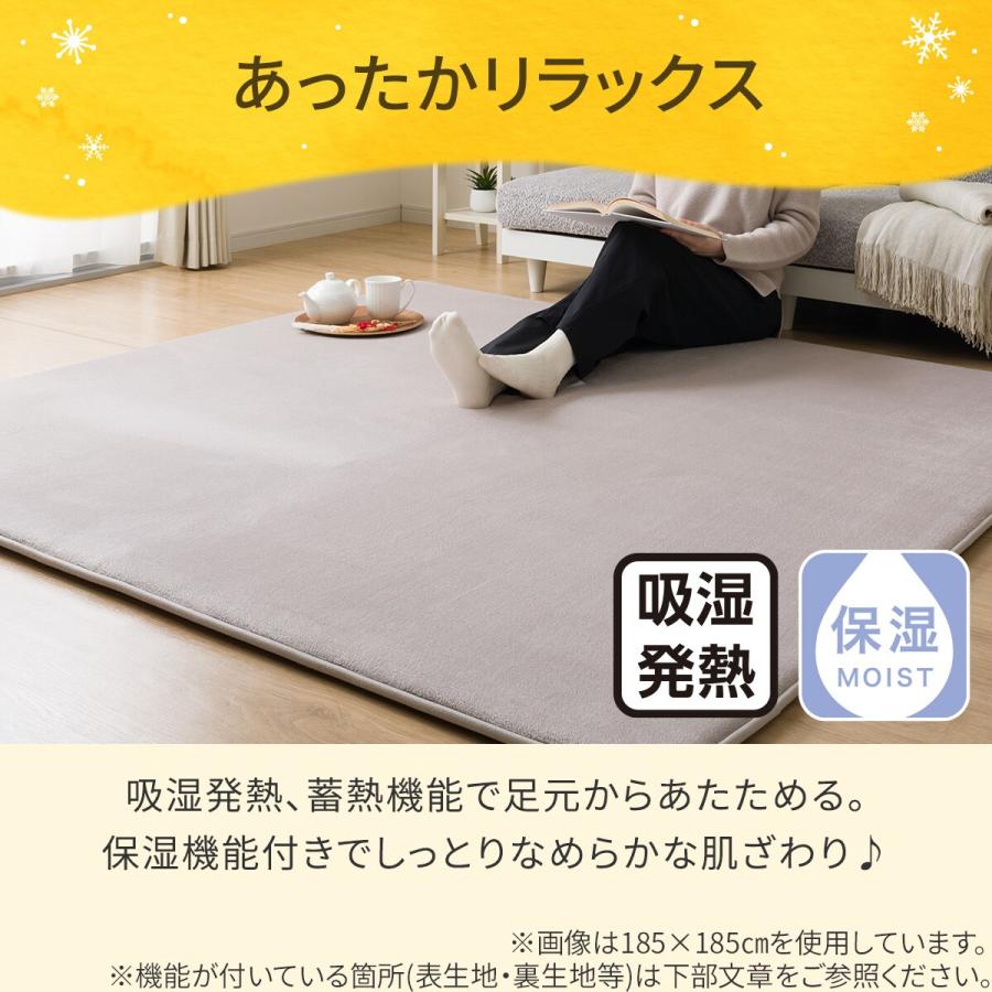 ニトリ（NITORI） 極厚30mmウレタン入り吸湿発熱+蓄熱+保湿+防音ラグ