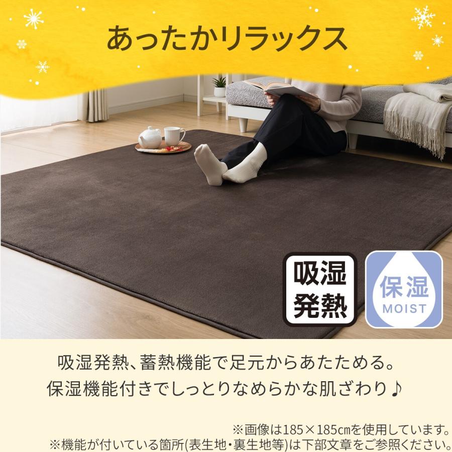 ニトリ（NITORI） 洗える 10mmウレタン入り吸湿発熱+蓄熱+保湿ラグ (N