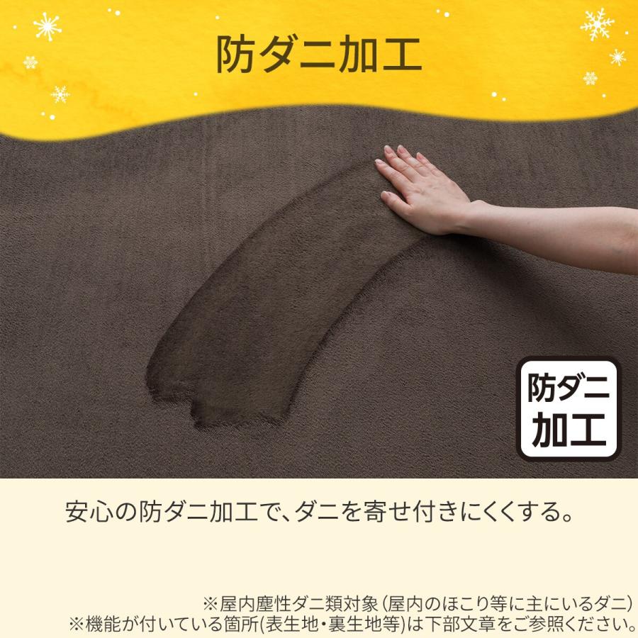 ニトリ（NITORI） 洗える 10mmウレタン入り吸湿発熱+蓄熱+保湿ラグ (N