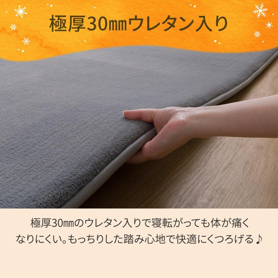 ニトリ（NITORI） 極厚30mmウレタン入り吸湿発熱+蓄熱+保湿+防音ラグ