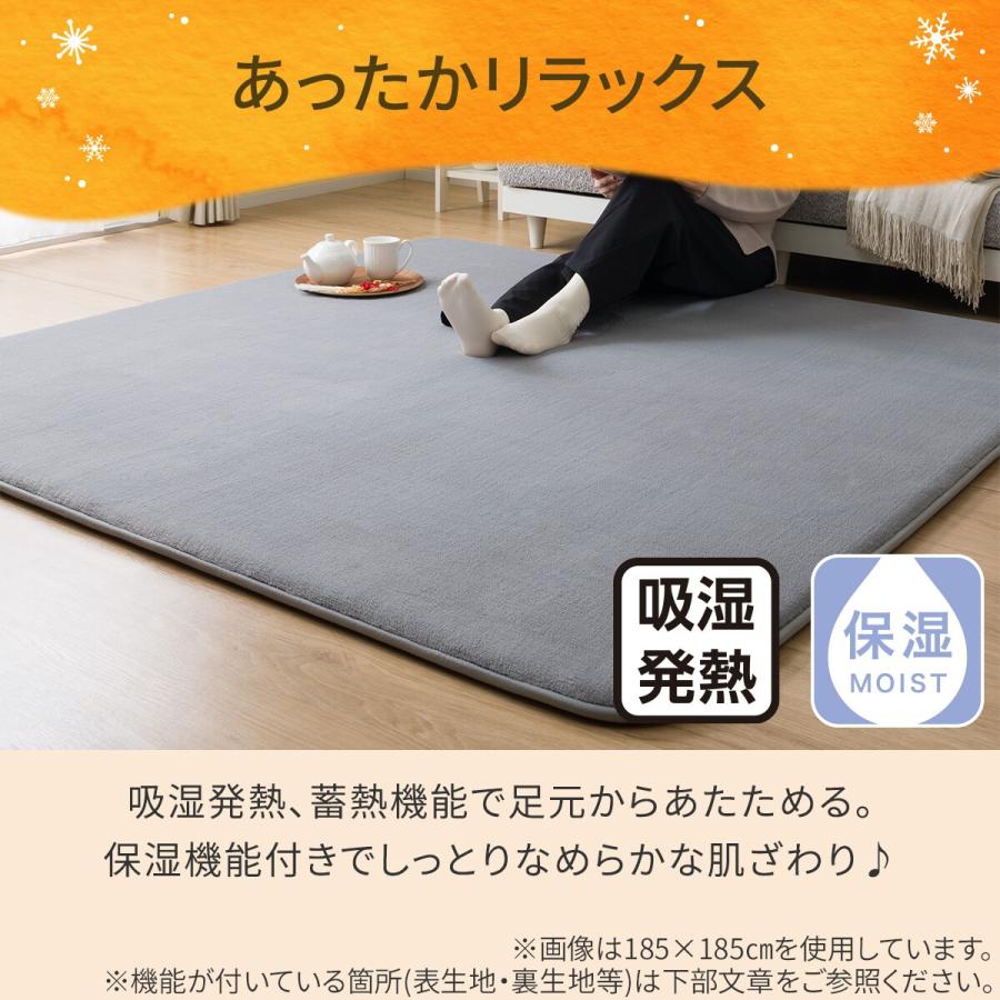 ニトリ Ｎウォームラグ30mmウレタン入り 保温+吸湿発熱+蓄熱+防汚ラグ 30mmウレタン入り 保温+吸湿発熱+蓄熱+防汚+防音ラグ(Nウォーム