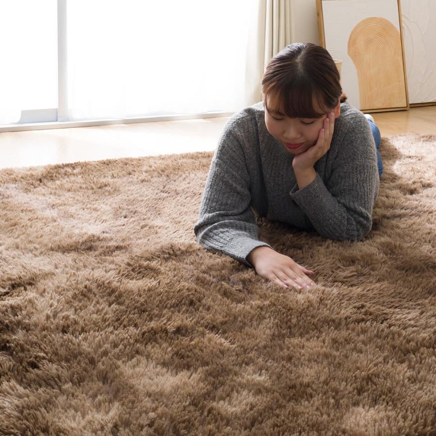 ニトリ（NITORI） 30mmウレタン入り 防汚加工+防ダニ加工+防音ラグ