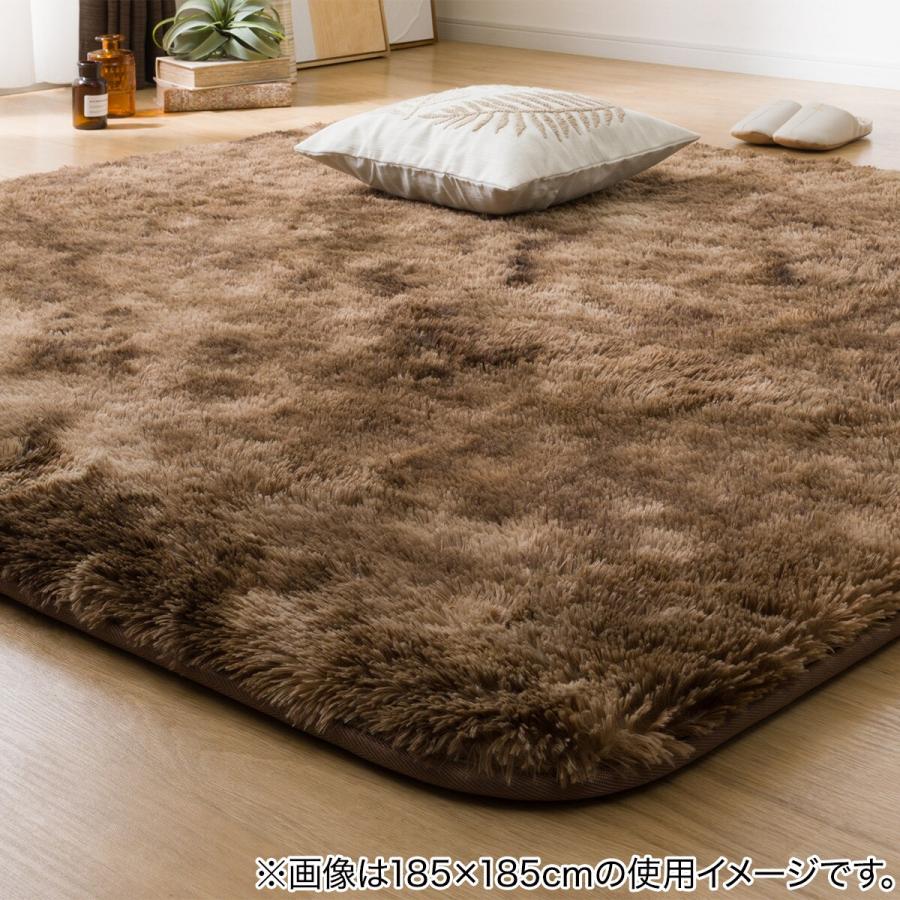 ニトリ（NITORI） 30mmウレタン入り 防汚加工+防ダニ加工+防音ラグ