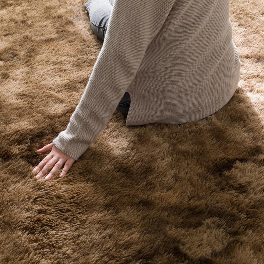 ニトリ（NITORI） 30mmウレタン入り 防汚加工+防ダニ加工+防音ラグ