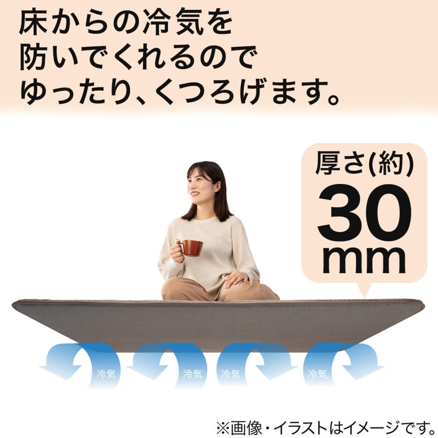 RAKUDO氏専用 ニトリ（NITORI） 極厚30mmウレタン入り 防汚加工+防ダニ加工+防音ラグ
