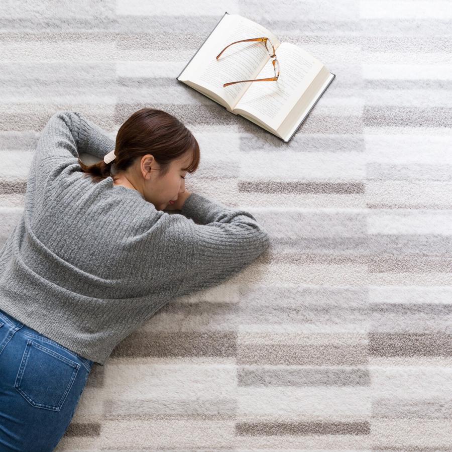 極厚30mmウレタン入り 防汚加工+防ダニ加工+防音ラグ(200X240 BR PL10) ニトリ | ニトリ | 01