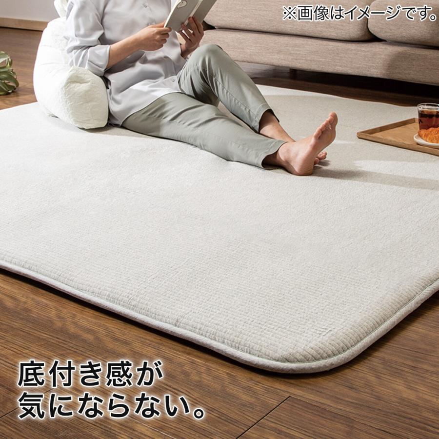 ニトリ（NITORI） 極厚30mmウレタン入り 防汚加工+防ダニ加工+防音ラグ