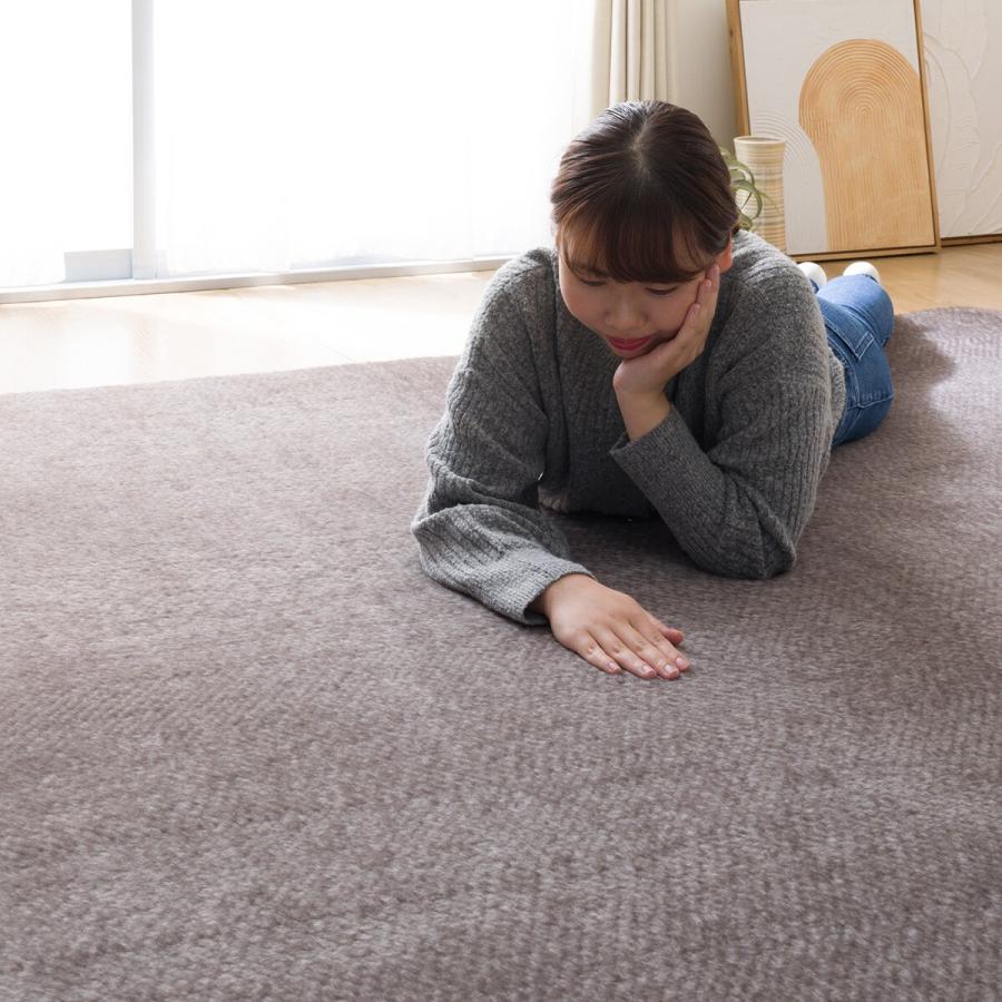 極厚30mmウレタン入り防汚＋防音ラグ(200X240 GY PL04) 極厚30mmウレタン入り防汚＋防音ラグ(200X240 GY PL04) nitori