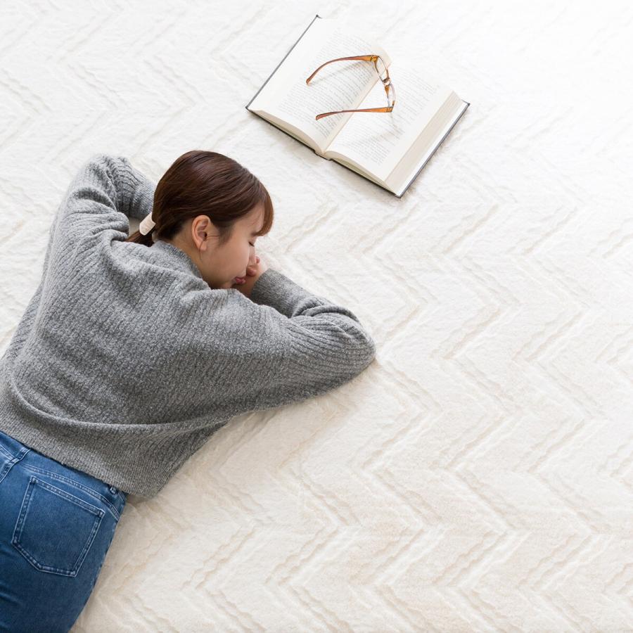 ニトリ 極厚30mmウレタン入り 防汚加工+防ダニ加工+防音ラグ(200X240