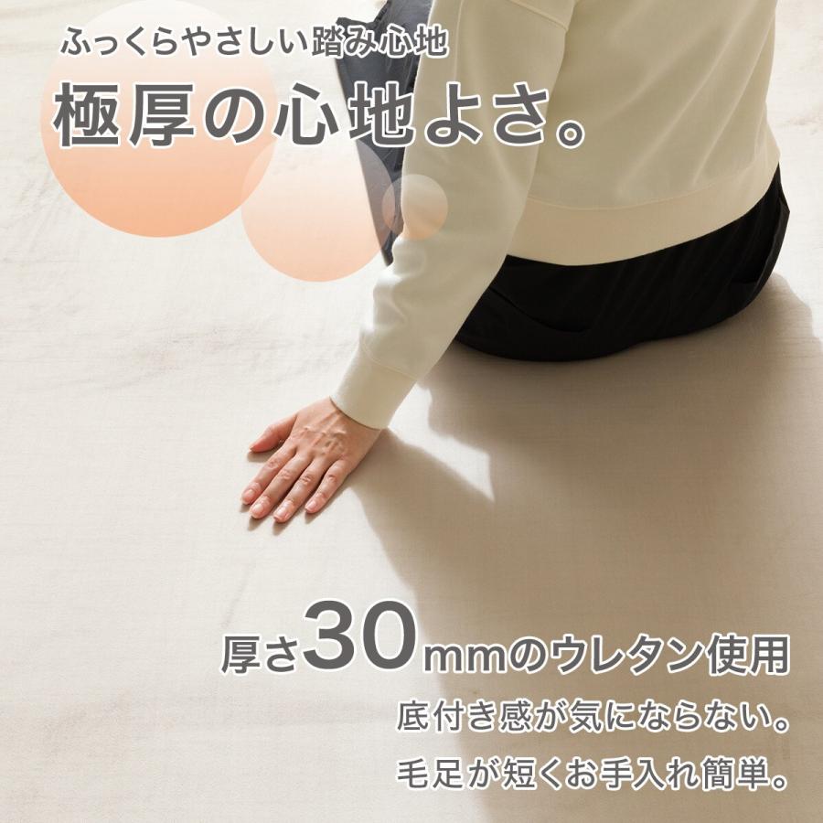 ニトリ（NITORI） 極厚30mmウレタン入り 防汚加工+防ダニ加工+防音ラグ