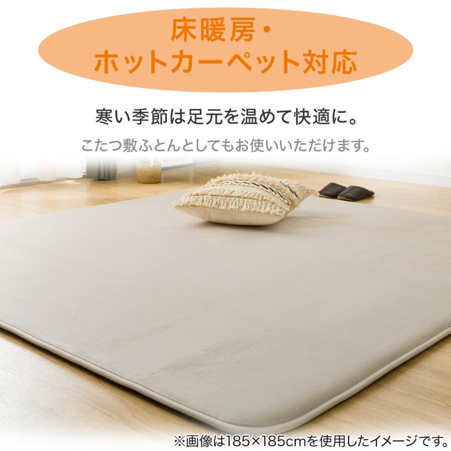 ニトリ（NITORI） 極厚30mmウレタン入り 防汚加工+防ダニ加工+防音ラグ