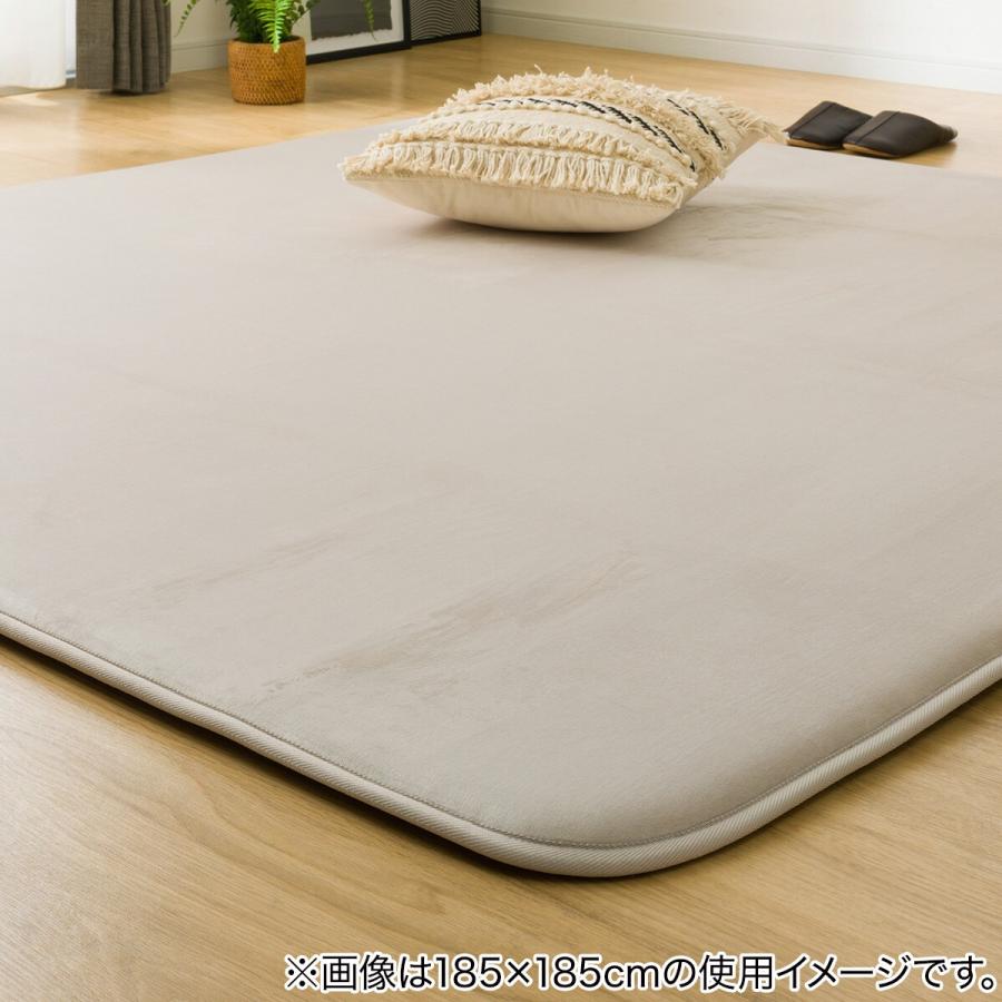 【美品】低反発ラグマット200x300cm 極厚25mm 撥水・抗菌・防ダニ加工 ニトリ（NITORI） 低反発・極厚30mmウレタン入り 防汚加工+防ダニ加工+