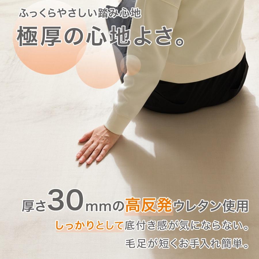 ニトリ（NITORI） 高反発・極厚30mmウレタン入り 防汚加工+防ダニ加工+