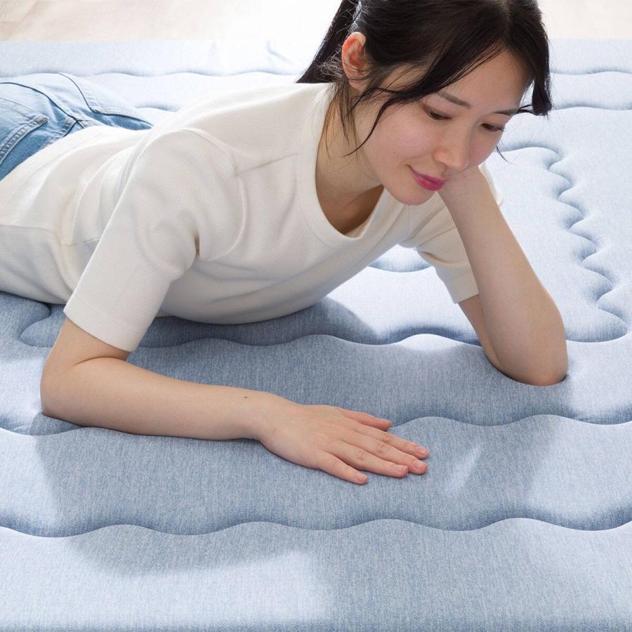 ニトリ（NITORI） ラグ ラグマット カーペット 極厚 30mm ウレタン入り
