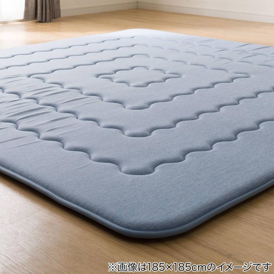 ニトリ（NITORI） ラグ ラグマット カーペット 極厚 30mm ウレタン入り