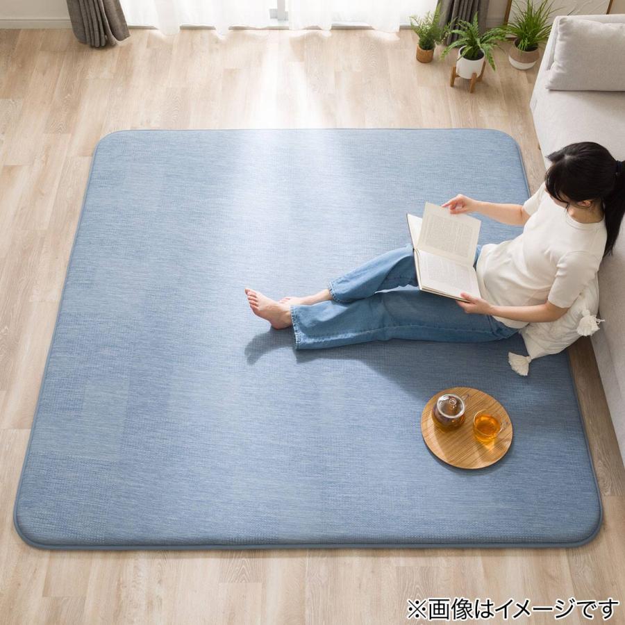 ニトリ（NITORI） 極厚30mmウレタン入り 接触冷感 防汚 ジャカード
