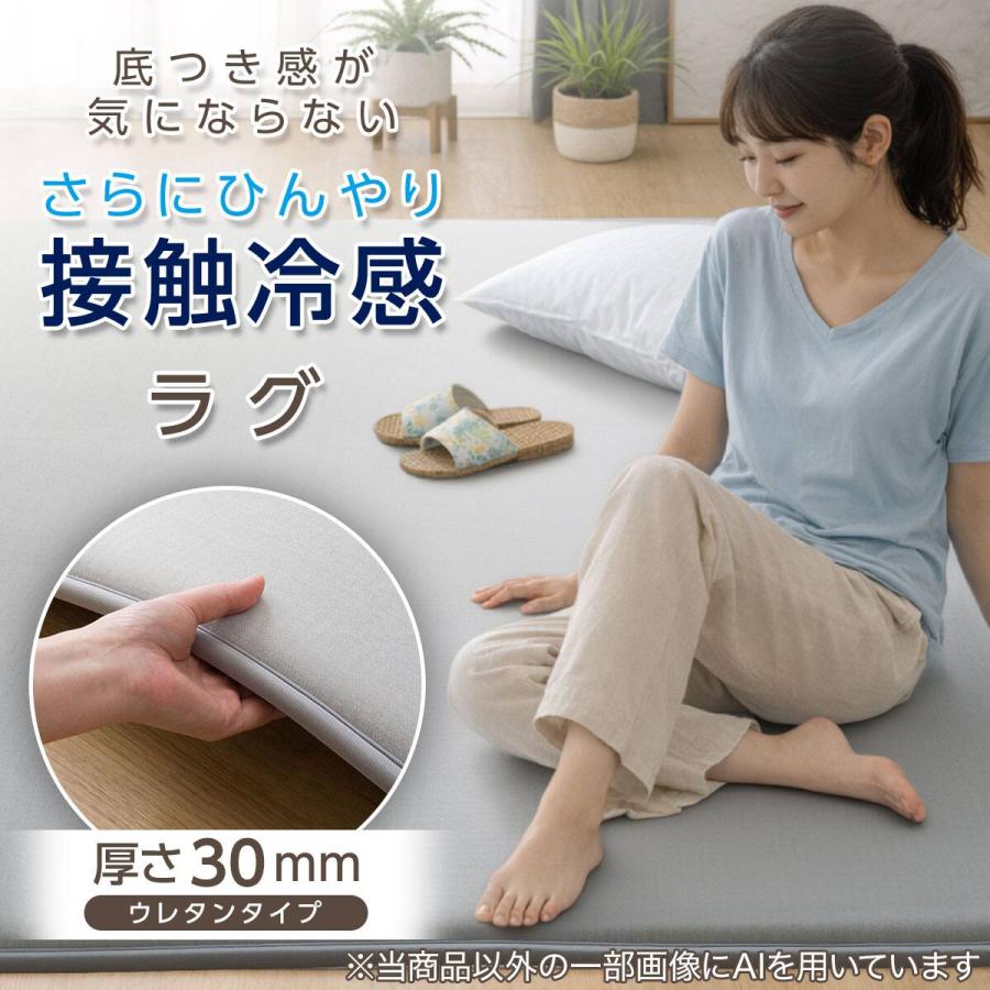 ニトリ（NITORI） 低反発 極厚30mmウレタン入り 接触冷感 防汚 ラグ(N