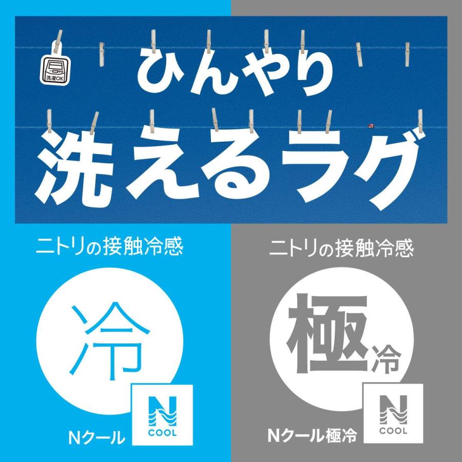 低反発 極厚30mmウレタン入り 接触冷感 防汚 ラグ(Nクール極冷 185X240 グレー Y02) ニトリ_7